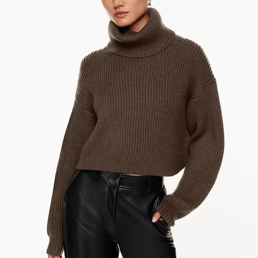 COPY - Aritzia Babaton Guell Cropped Wool Turtleneck Sweater